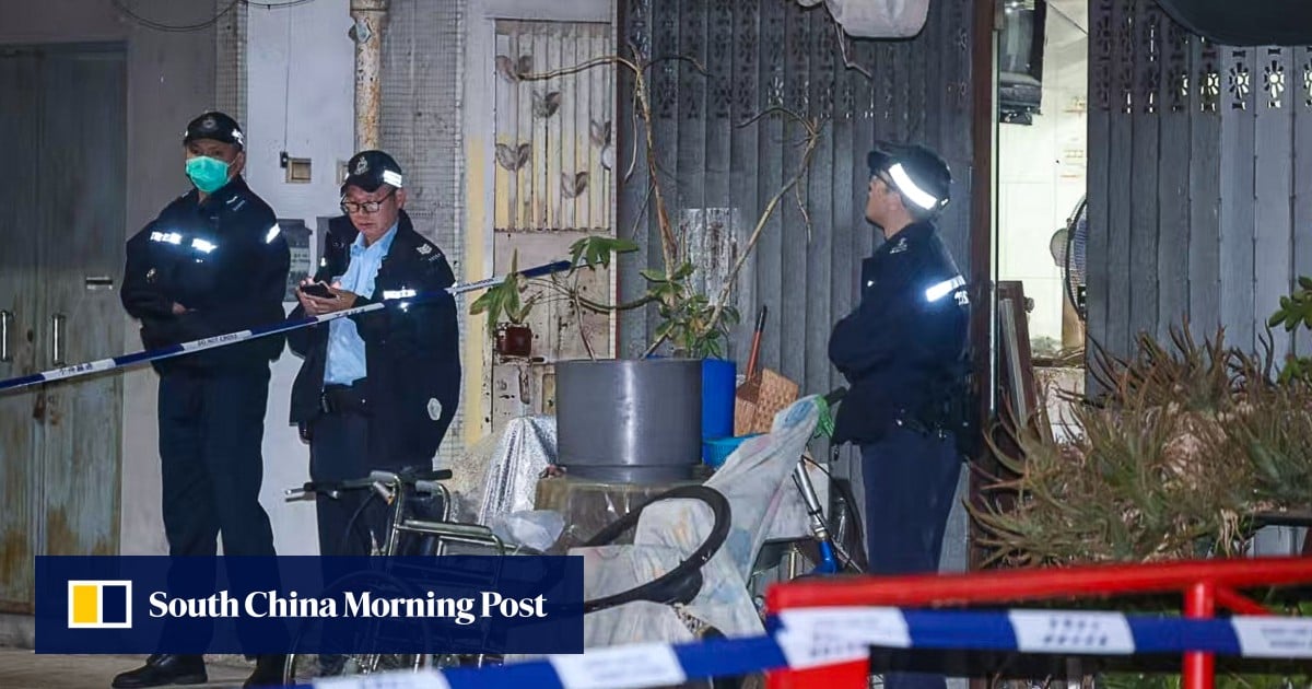 Hong Kong teen makes fatal leap after reporting death of stabbed relatives