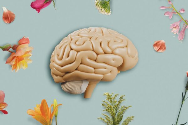 4 Changes You Can Make Right Now To Boost Your Brain Health