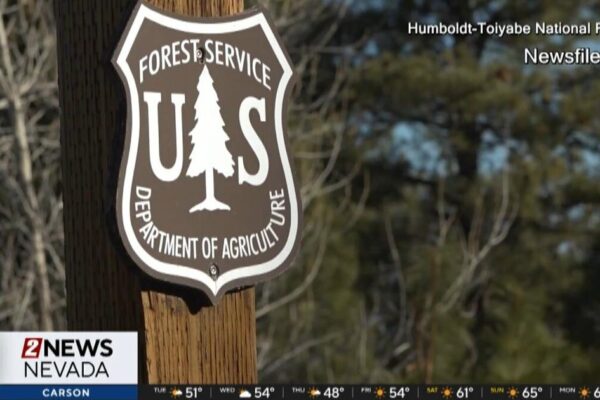 U.S. Forest Service impacted by federal firings | Local News