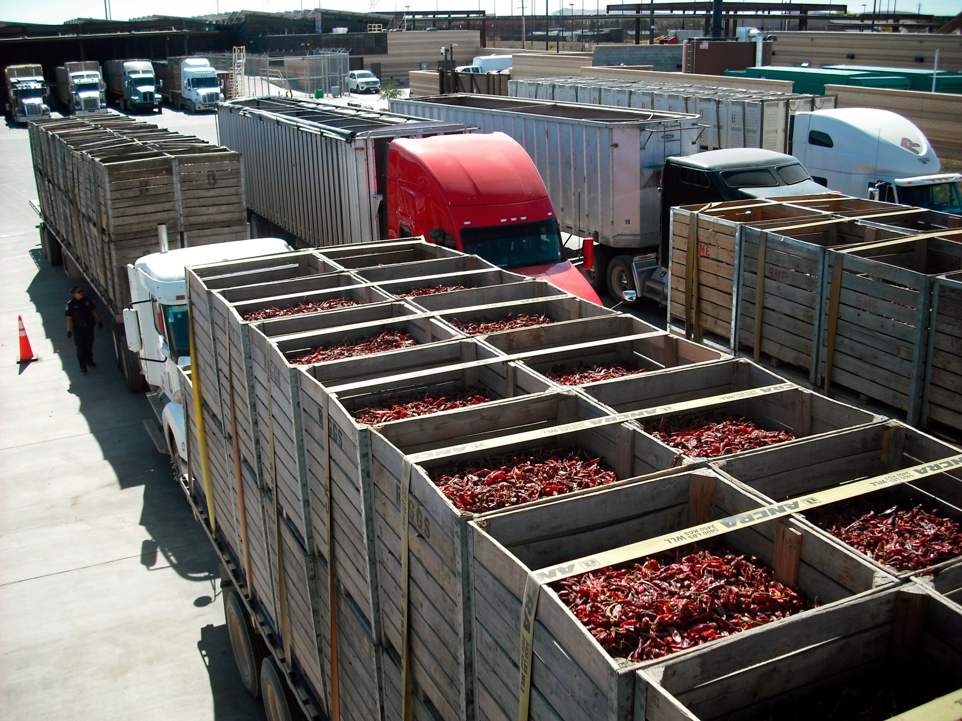 Trump, Sheinbaum announce one-month pause in threatened Mexico tariffs | Donald Trump News