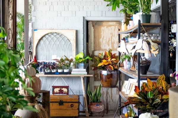 Phoenix lifestyle shop offers wellness services, health products