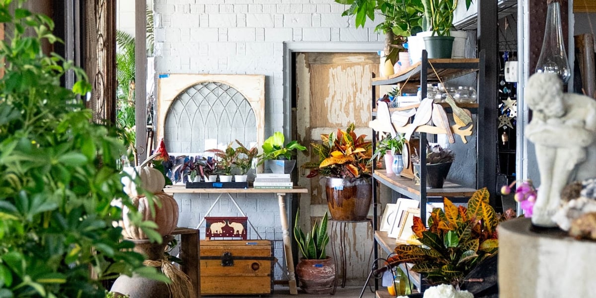 Phoenix lifestyle shop offers wellness services, health products