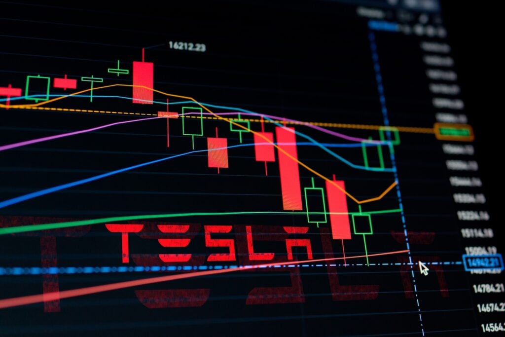 Once A Top Musk Supporter, Now Warning Tesla Stock Faces Major Pain in 2025 - Tesla (NASDAQ:TSLA)