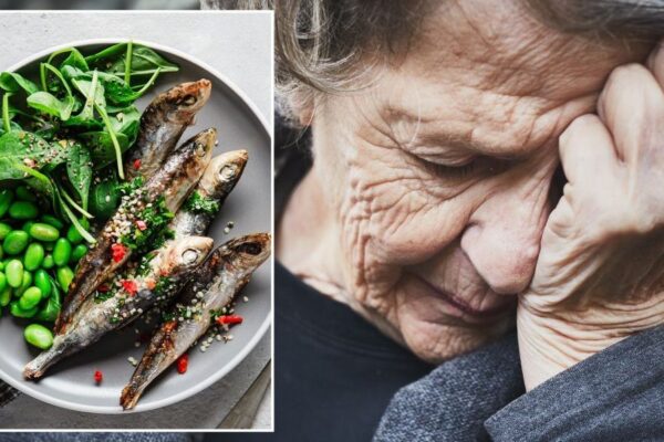 Study highlights ‘exciting’ benefits of healthy fats for brain health
