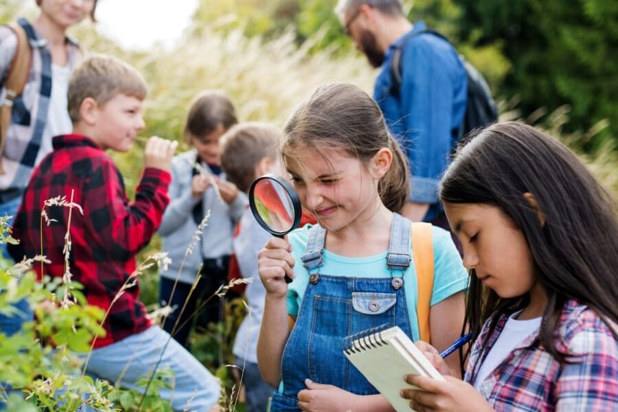 Germany, United Kingdom, France, Italy, Russia, Spain: European Educational Tourism Sees Growth, With Strong Market Presence in Germany, UK, and France