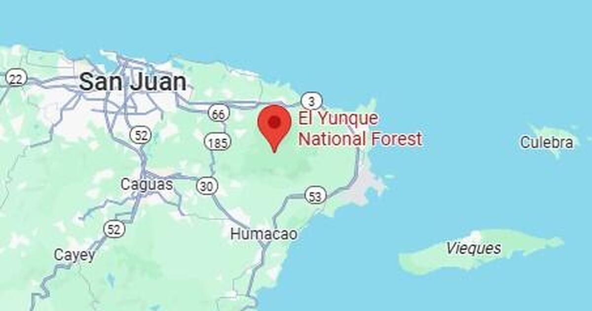 U.S. tourist missing in thick Puerto Rico rain forest