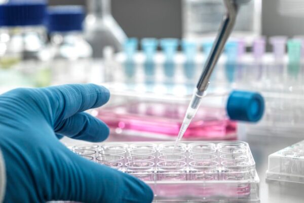 States suing to stop Trump administration cuts to medical research funding