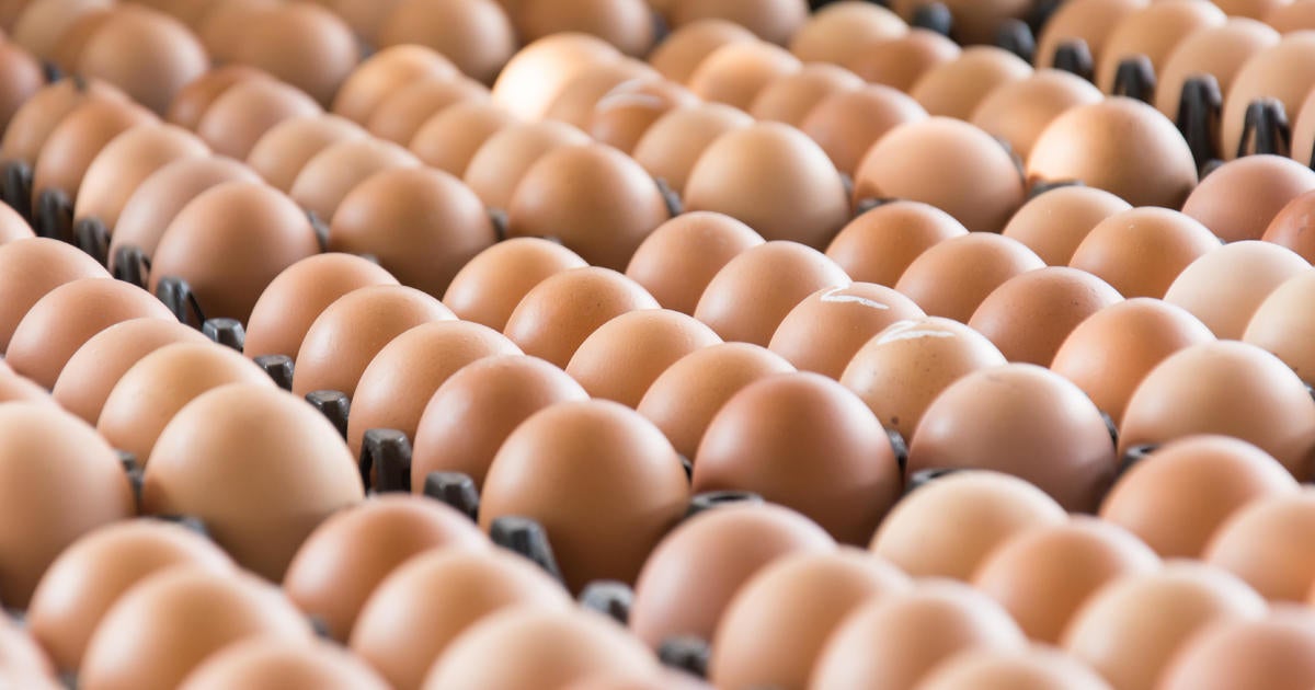 100,000 organic eggs worth $40,000 from Pennsylvania farm stolen from back of truck