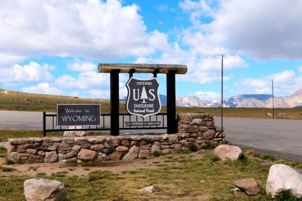 Cuts at the U.S. Forest Service could lead to unintended consequences, former workers say