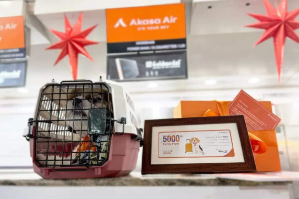 A purr-fect travel experience for furry companions, ET TravelWorld