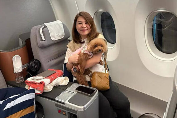 Some fly business class, on private jets Some fly business class, on private jets