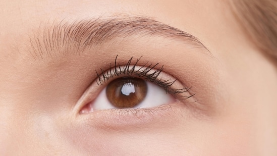 Lifestyle News Live Today February 2, 2025: From screen time to nutrition: 10 expert-approved eye care habits to maintain healthy vision in 2025