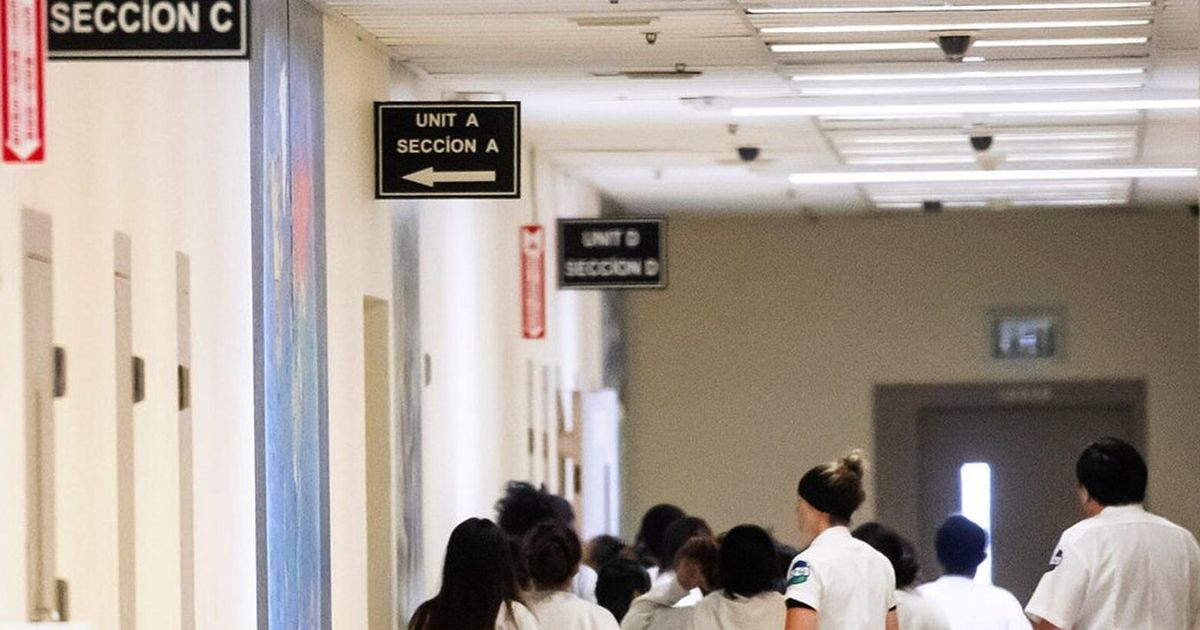 British tourist in Tacoma ICE detention reportedly released back to UK