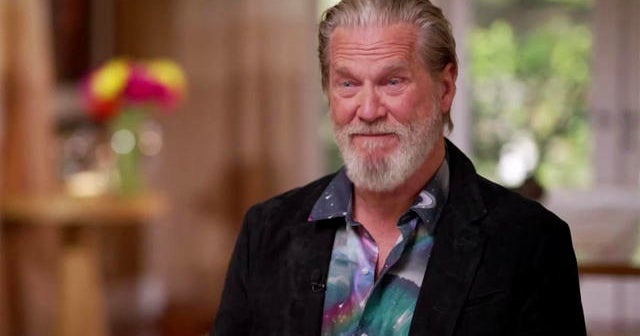 Here Comes The Sun: Actor Jeff Bridges and McDonald's ice cream machines