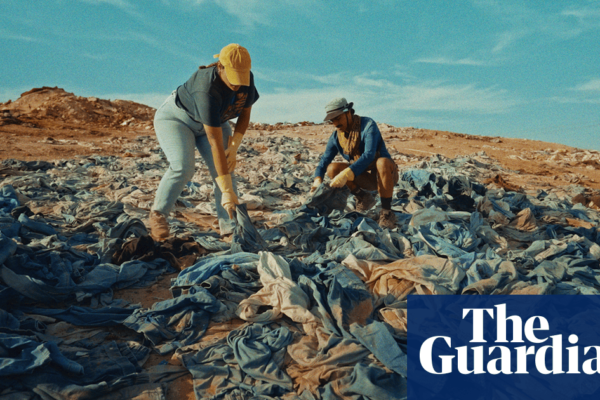 Calvin Klein jeans for free! Branded clothes dumped in the desert snapped up on anti-fast fashion website | Global development