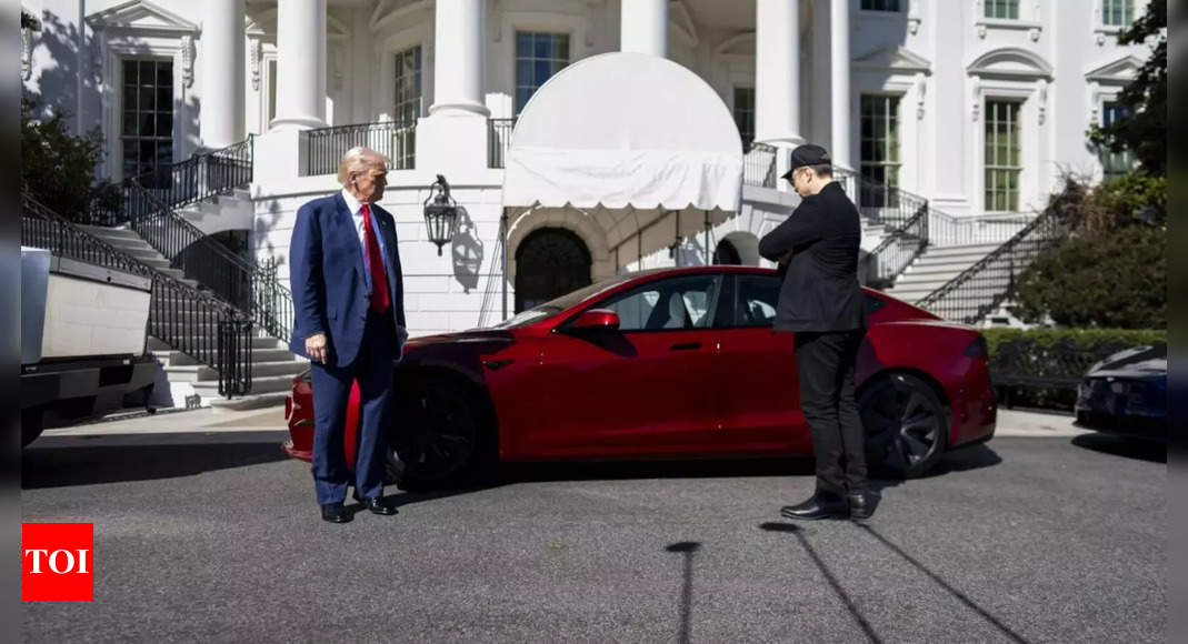 US President Donald Trump makes a 'Big Tesla Terrorism' announcement, says 'I will do that, I will ...'