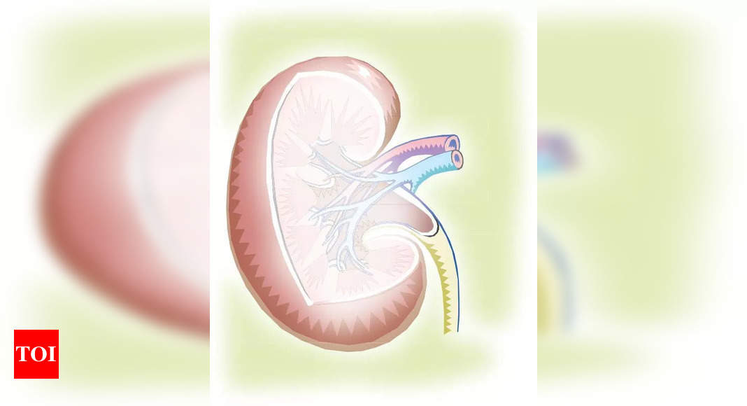 Keep kidneys healthy with regular screening, active lifestyle: Doctors