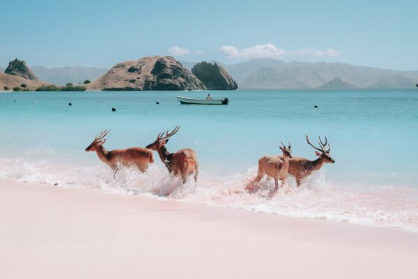 This is Officially the Most Beautiful Place in the World, According to Time Out