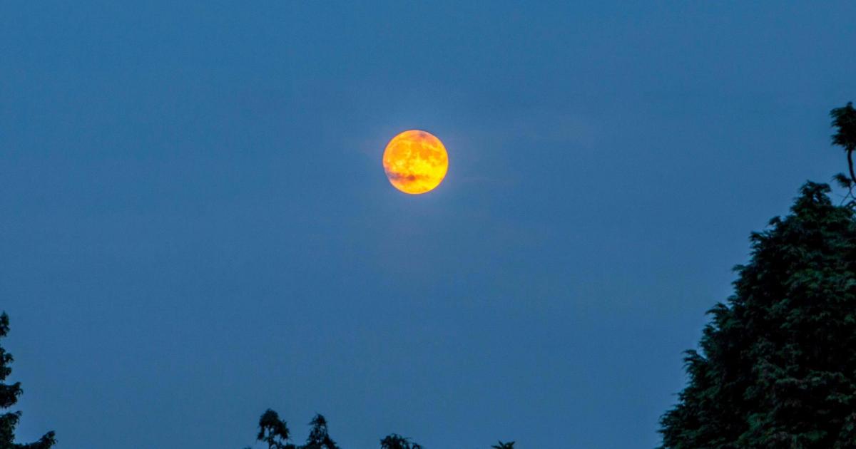 UK set for ‘blood moon’ partial lunar eclipse later this week