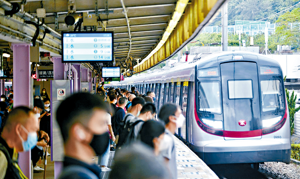 Pets may be allowed on MTR: sources