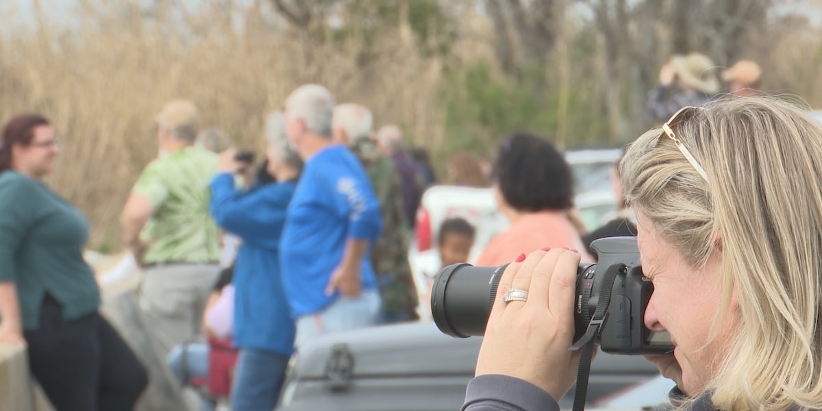 SS United States draws crowds to the eastern shore as it enters port