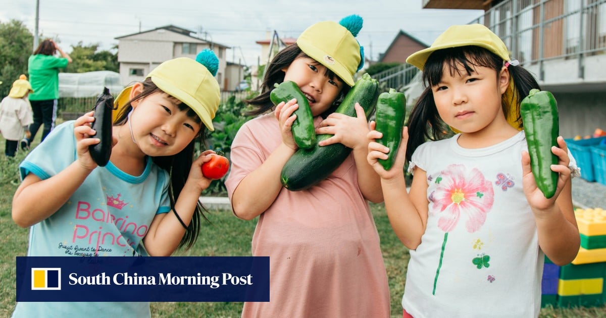 Preschool exchange programme in Japan provides unique learning for Hong Kong children