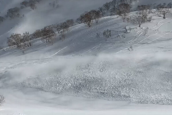 Japan’s Ski Slopes Have Too Much of a Good Thing: Snow