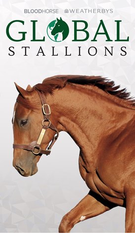 Stallion Comparison Tool added to Global Stallions App
