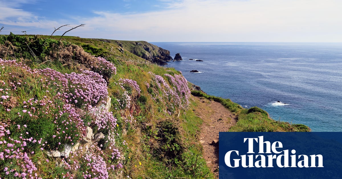 ‘Spring sings with birdlife and wildflowers’: readers’ favourite UK trips of the season | United Kingdom holidays