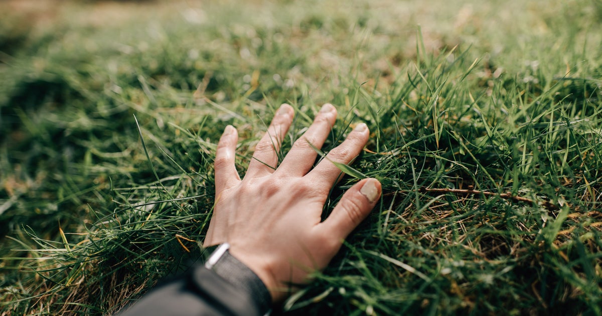 'Touch Grass' App Is An Unconventional Way To Reconnect With Nature