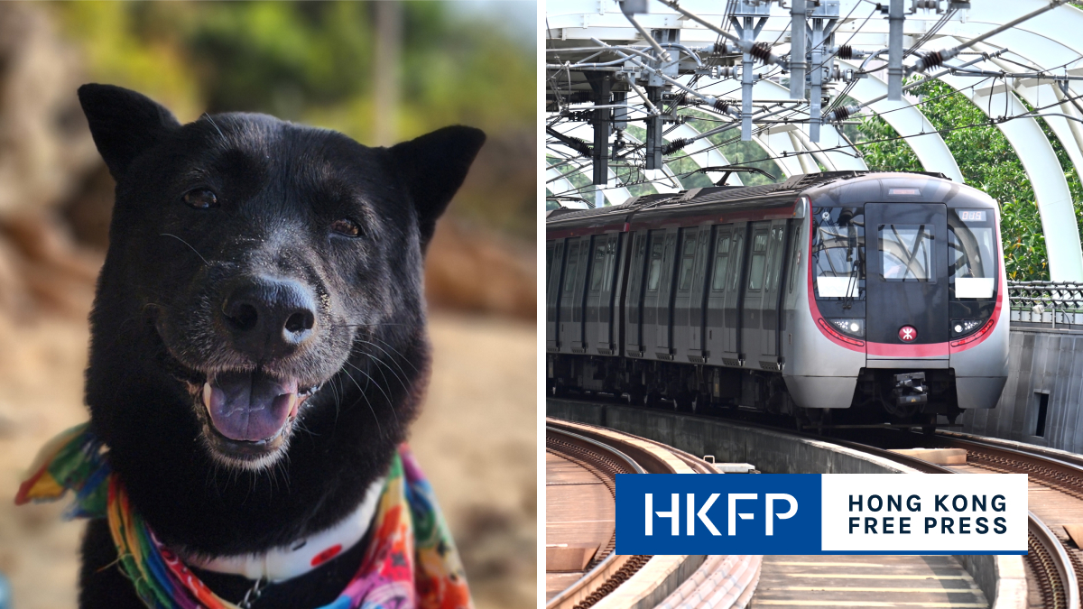Hong Kong’s MTR considers letting passengers travel with pets – report
