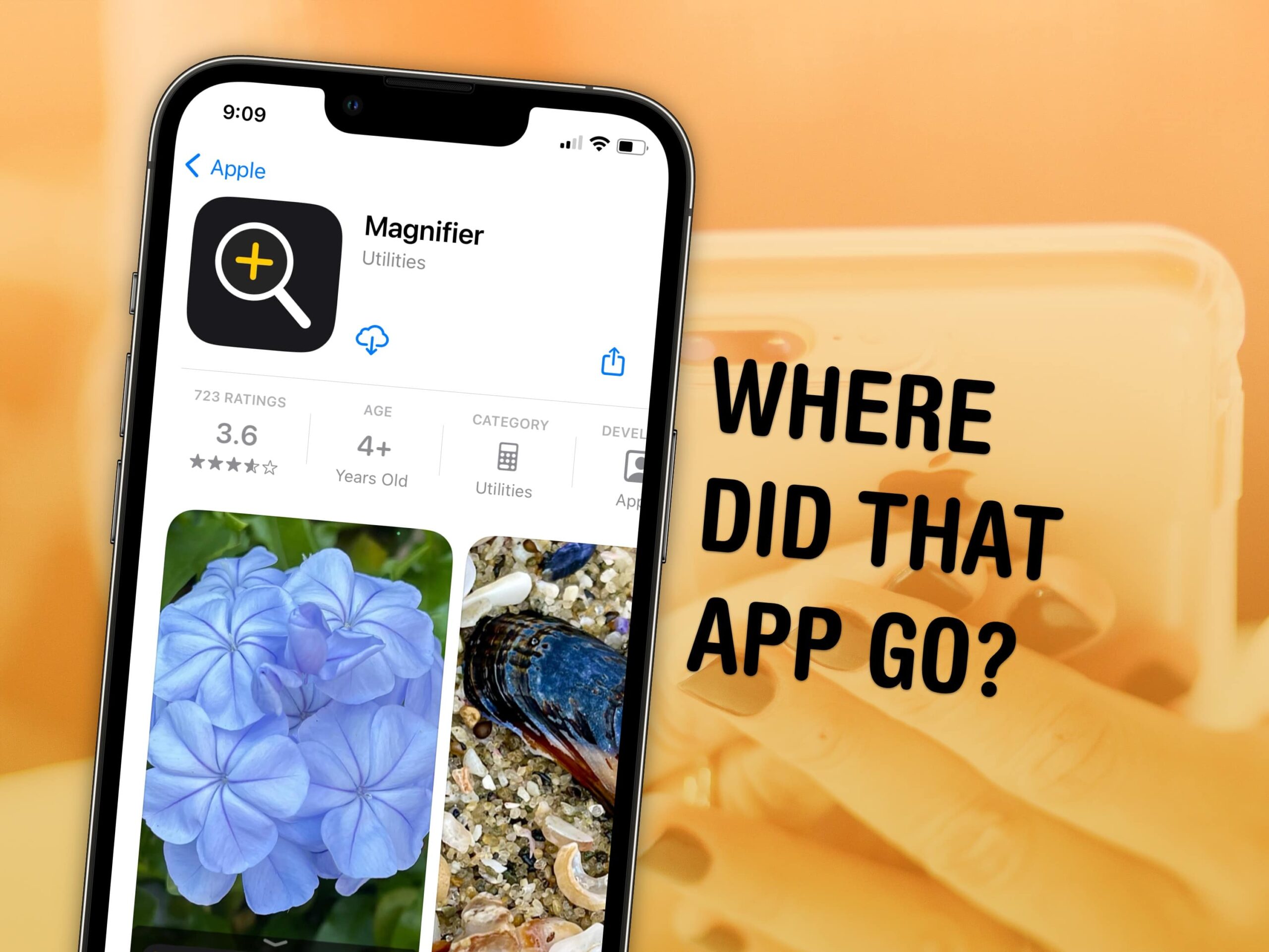 Where did that app go?