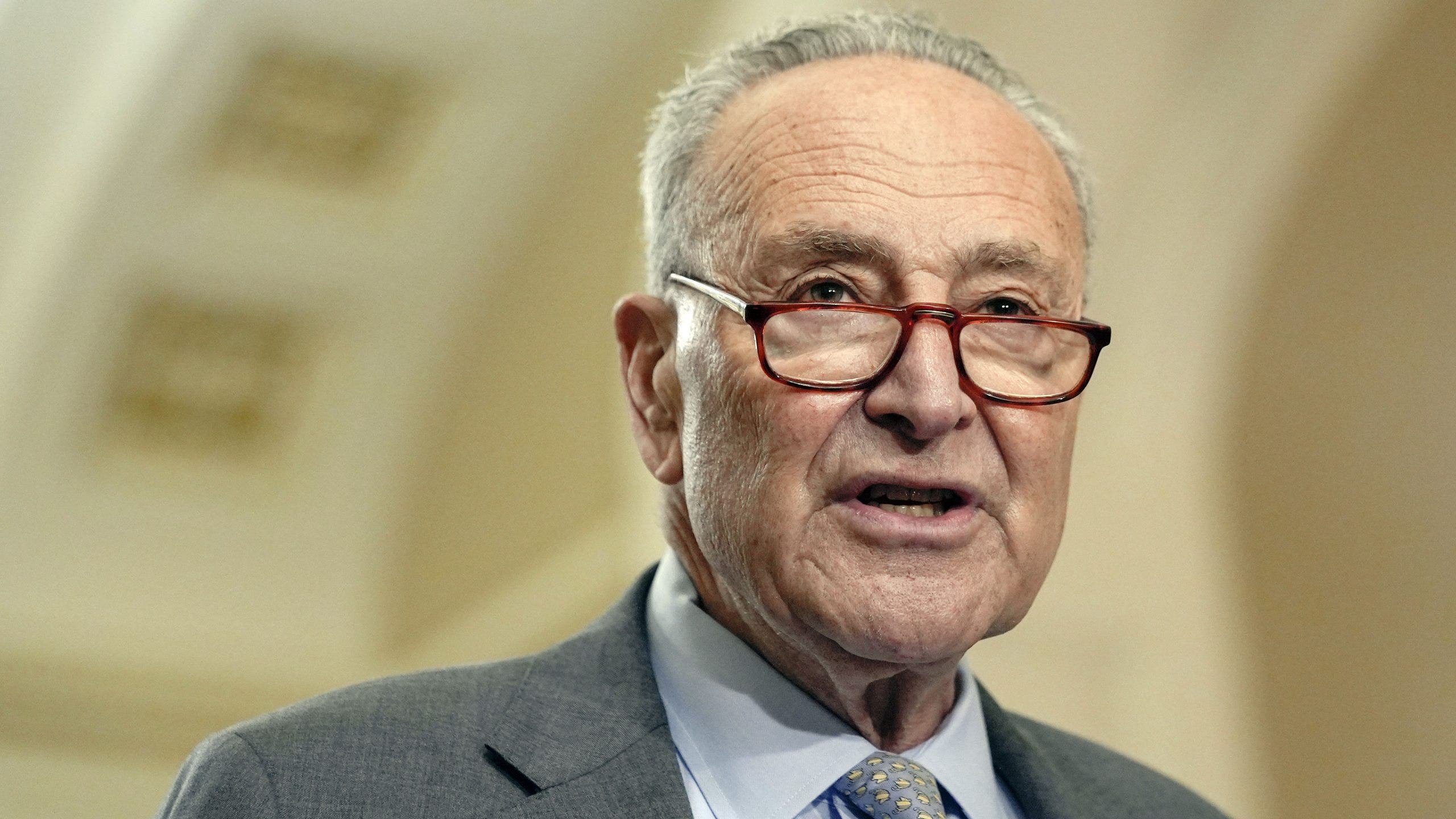 Schumer votes to keep government open