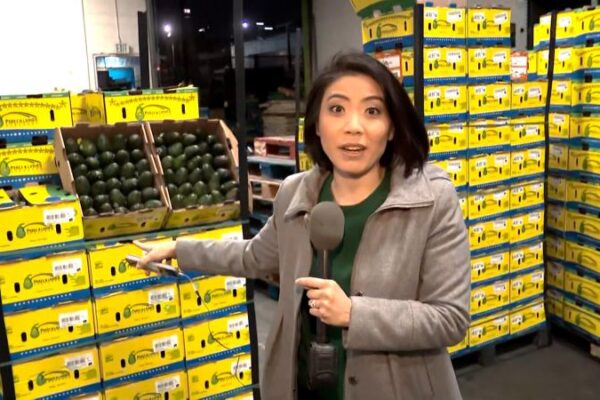 Natasha Chen goes inside distribution warehouse impacted by tariffs