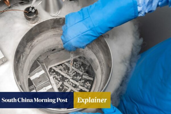 Explainer | Could indefinite embryo storage lead to a baby boom in Hong Kong? Explainer | Could indefinite embryo storage lead to a baby boom in Hong Kong?