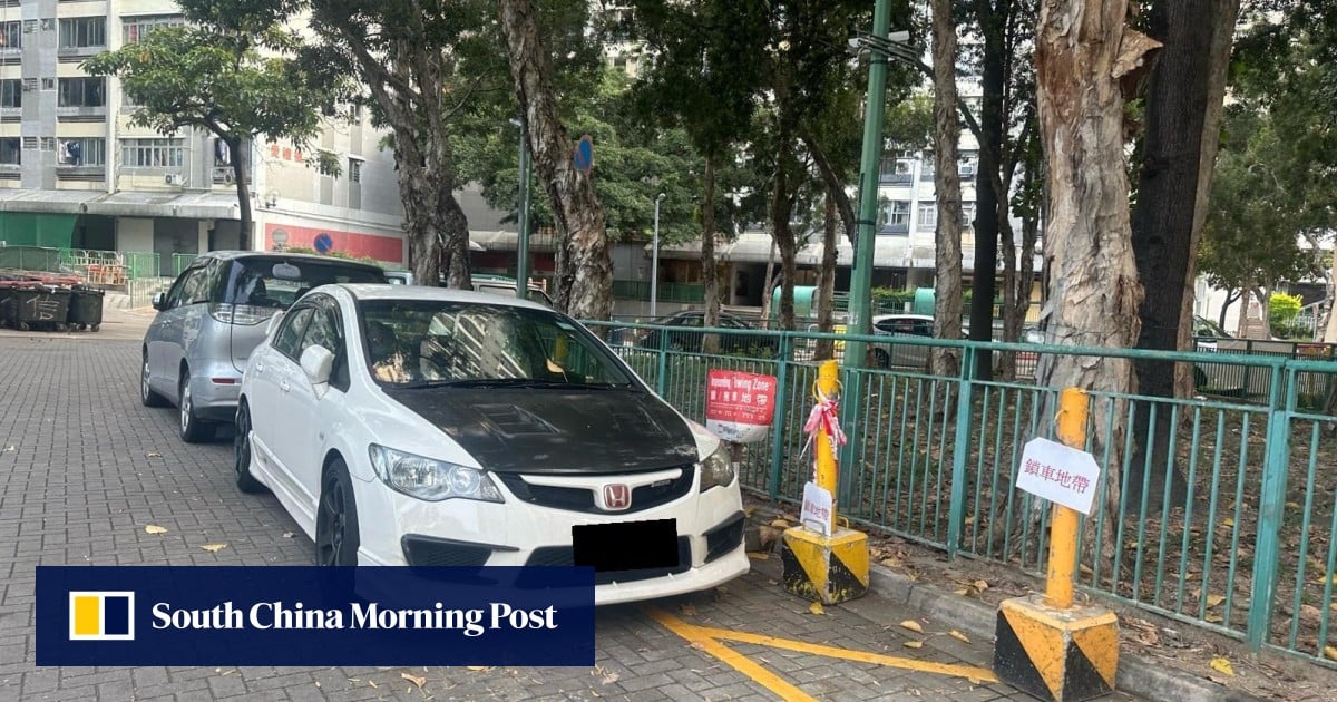 Hong Kong’s ombudsman calls for tougher action against illegal parking at estates