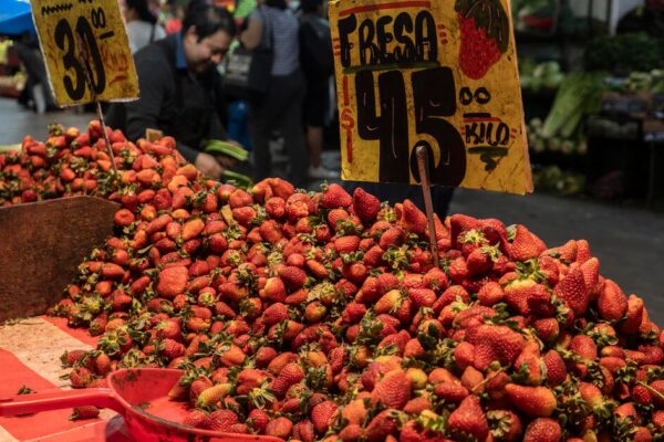 President Trump pauses Mexico tariffs until April 2