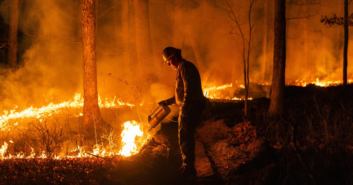 Trump secures pay increase for wildland firefighters while DOGE fires critical support staff
