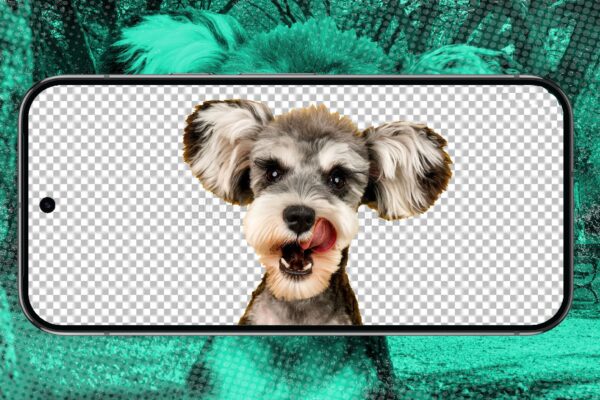 My 5 go-to apps for photo background removal on Android