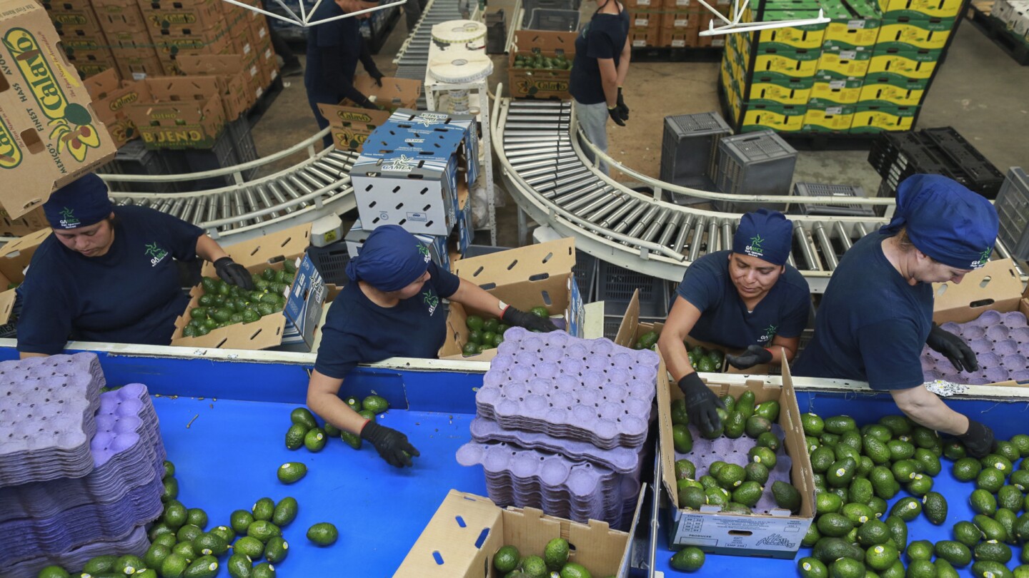 Trump's erratic trade policies are baffling businesses