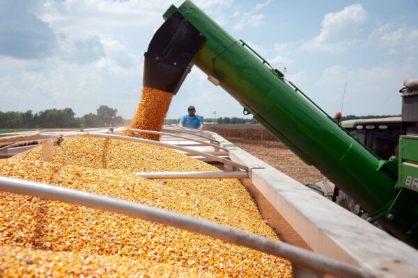 US Slams High India Duties on Farm Goods Before April 2 Tariffs
