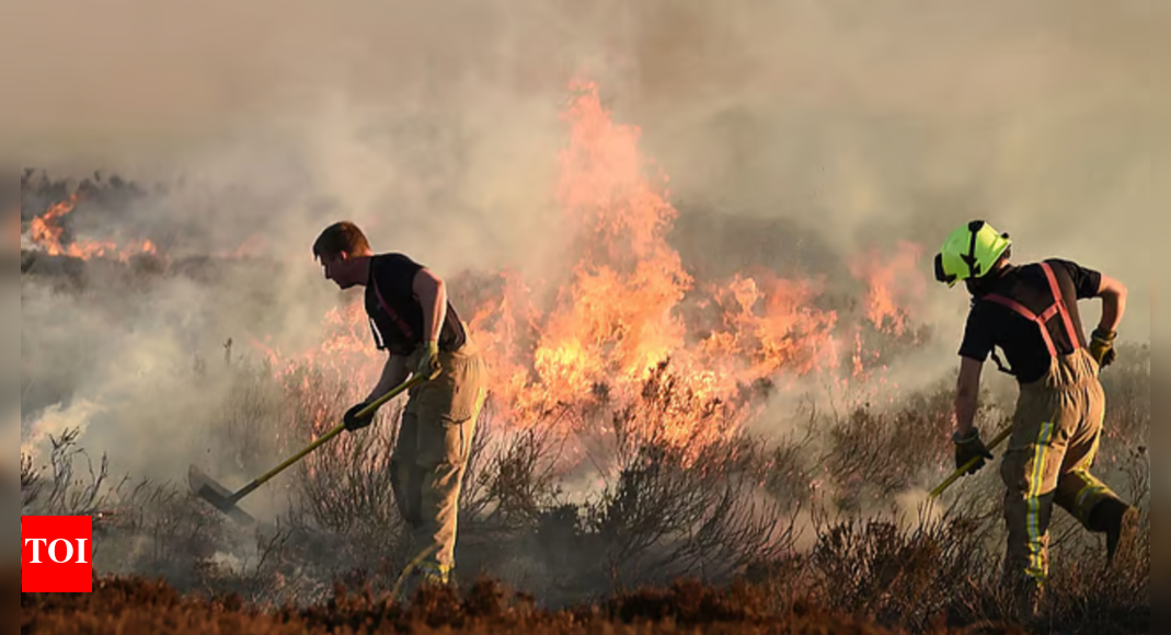 UK wildfires push records in first four months of 2025