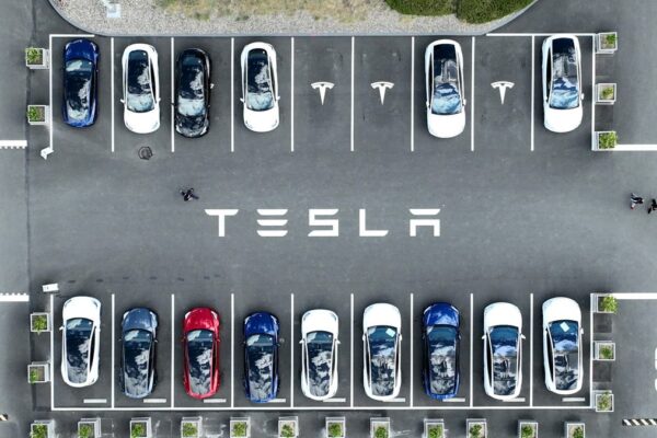 Tesla Q1 earnings eye damage control amid stock slump, Elon Musk's DOGE