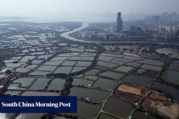 Hong Kong confident in megaproject bids amid economic headwinds