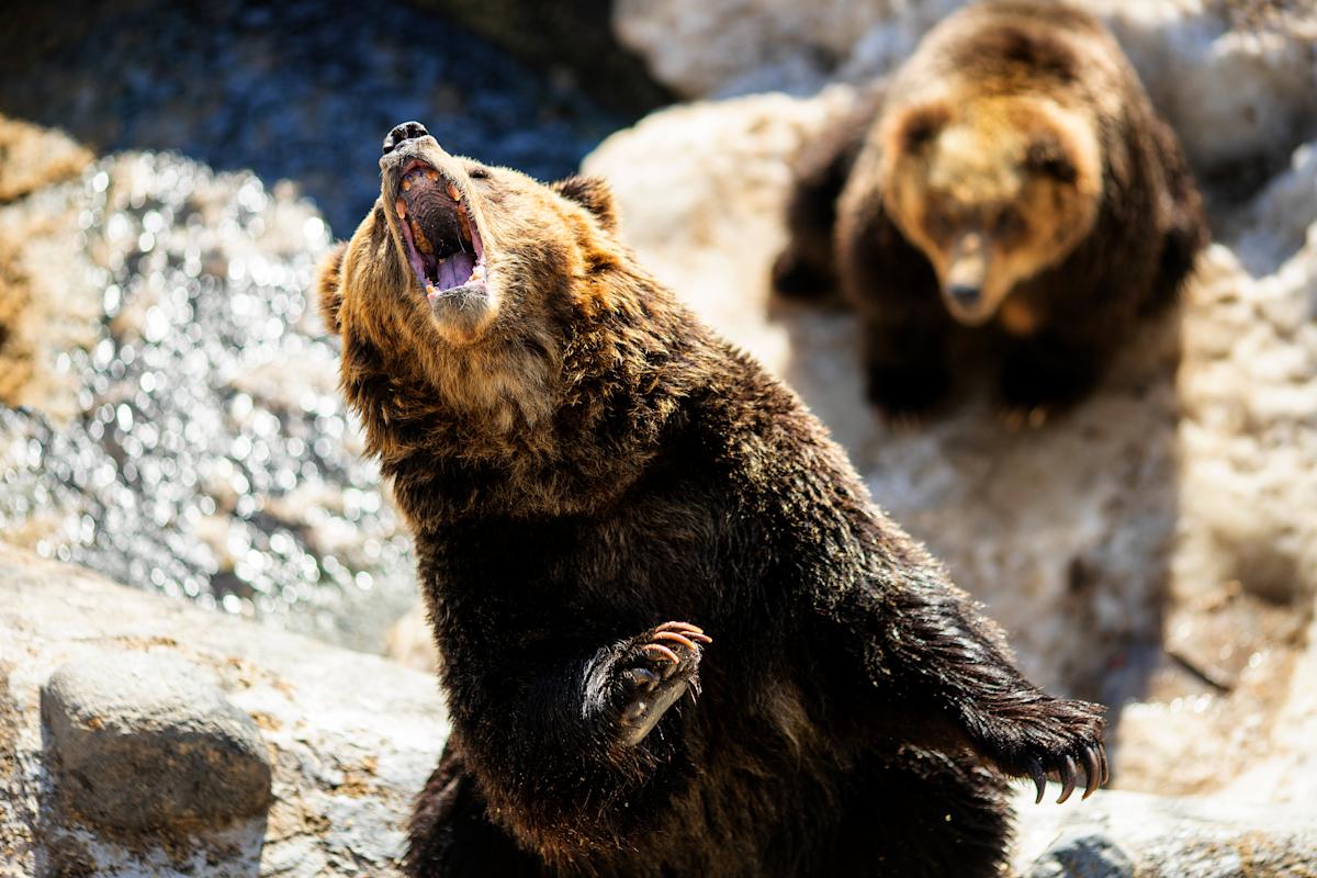 Why Wall Street's biggest bear isn't budging on his calls after Trump tariff pause