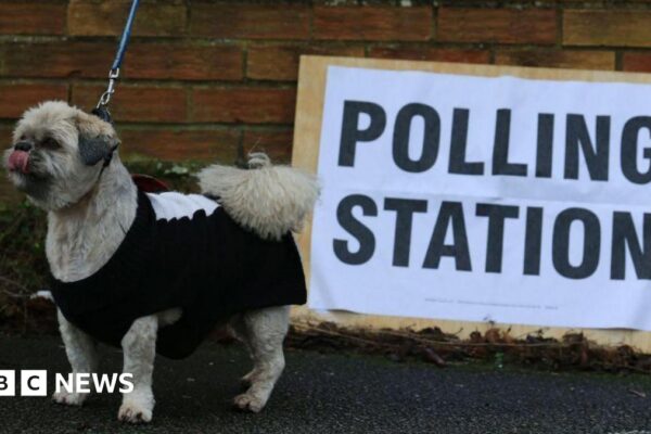 A dog outside a polling station in Hull in 2019