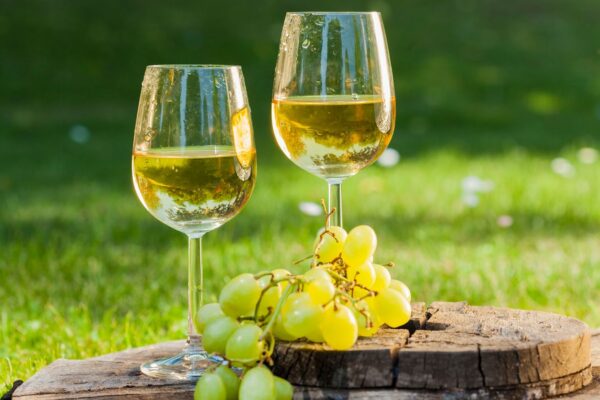 Drinking white wine could reduce risk of cardiac arrest – study | UK News Pic: iStock