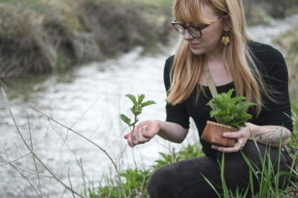 Wild Foods: Foraging season springs upon us | Local News