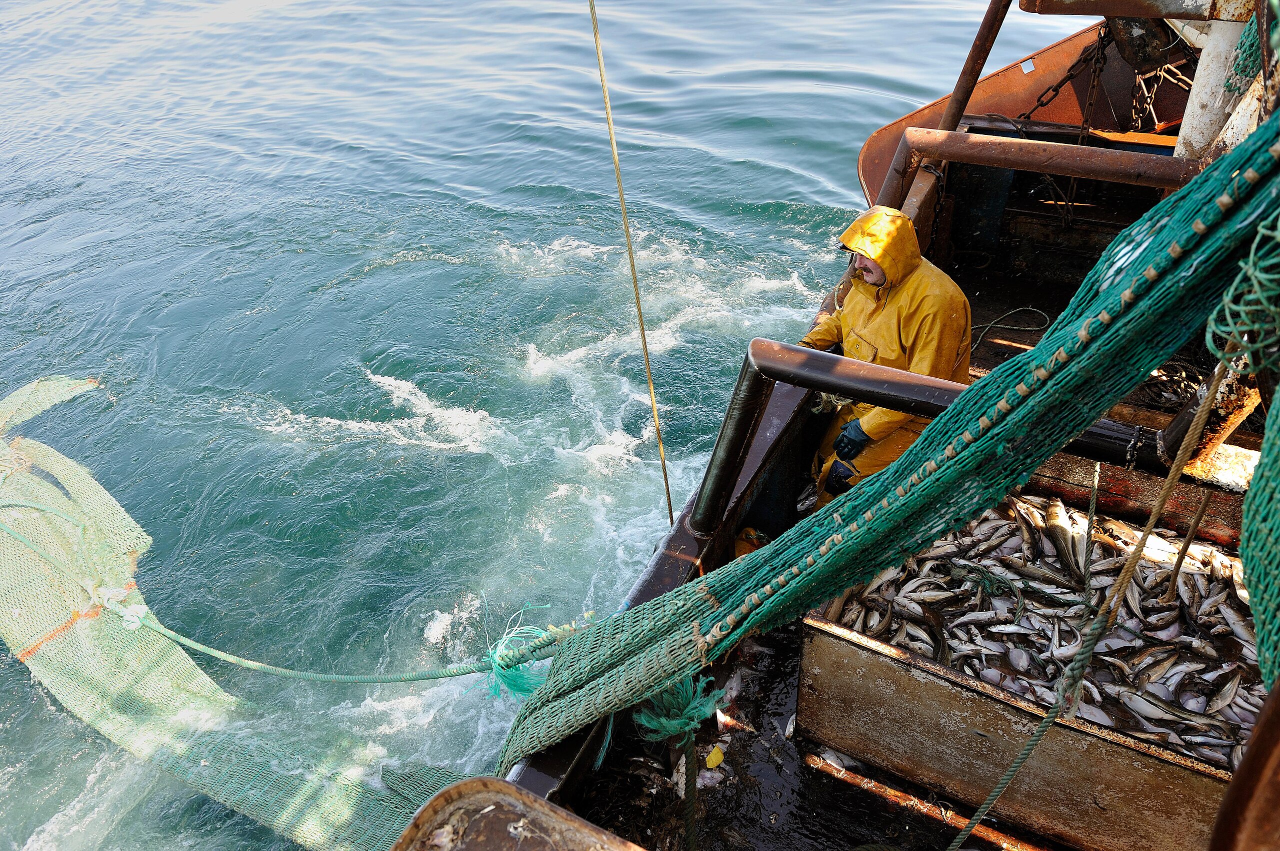 Suspected 20,000 hours of trawling reveals 'sham' of UK MPAs