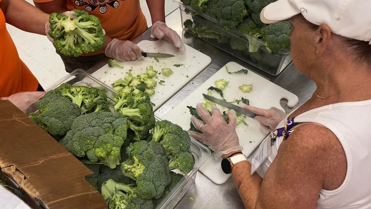 Healthy meals with a side of summer fun